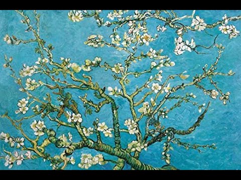 Almendros En Flor Van Gogh Actualizado Febrero 2024