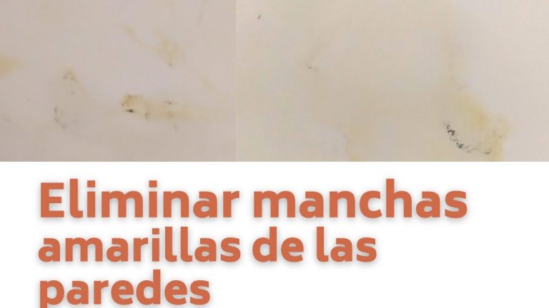 Manchas Amarillas En El Techo Actualizado Febrero